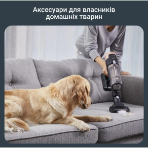 Акумуляторний пилосос Rowenta RH9B74WO
