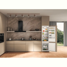 Холодильник Whirlpool WHC20D023B1 SF 