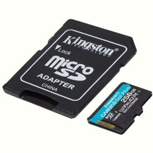 Карта пам'яті Kingston microSD 256GB C10 UHS-I U3 A2 V30 + SD (SDCG4/256GB)