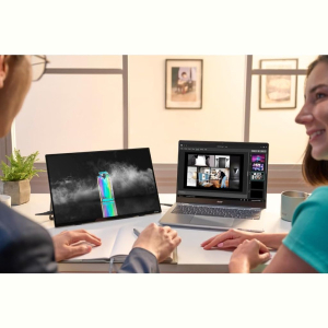 Монiтор 16" Acer PE160Wsmiuux (UM.ZP0EE.001) Silver