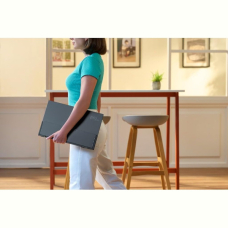 Монiтор 16" Acer PE160Wsmiuux (UM.ZP0EE.001) Silver