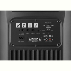 Портативна акустика Defender Boomer 200 200Вт Black (65201)